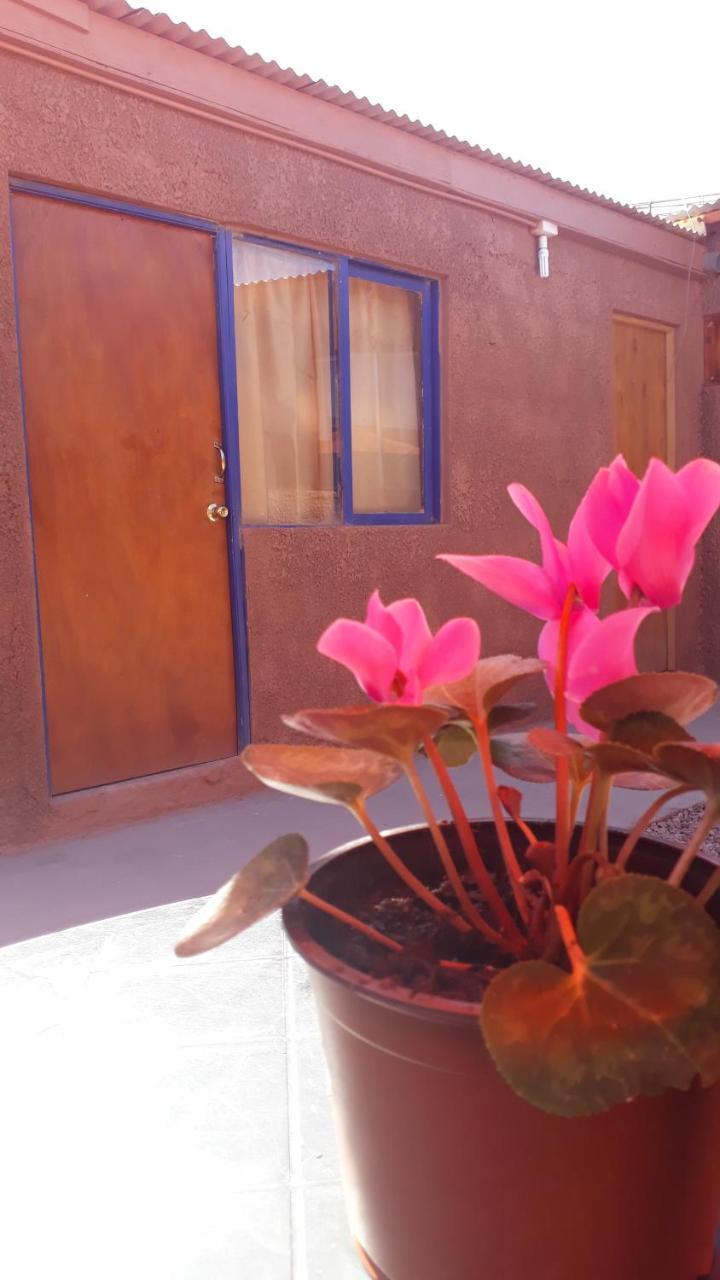 Hostal Open House San Pedro de Atacama Ngoại thất bức ảnh